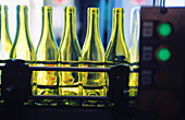 Wines bottles on production line