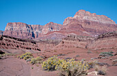 Vermillion Cliffs along Colorado River. Arizona, USA