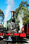 Puffing Billy, Australia s most popular tourist stream train in Melbourne. Victoria. Australia.