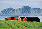 Red huts in a row. Lofoten, Norway, Scandinavia, Europe