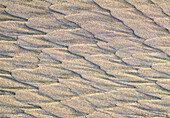 Wind pattern in sand on beach. Kho Lanta, Thailand.