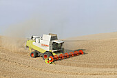 Harvester on field of wheat. Skåne. Sweden