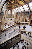 Museum of Natural History. London. England
