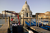 Workboat delivering laundry, opposite Chiesa della Salute, Grand Canal. Venice. Veneto, Italy