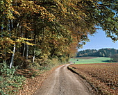 Country road. Bad Birnbach. Rottal (Red Valley). Baderdreieck. Bavaria. Germany