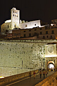 Old town at night with cathedral. Ibiza, Balearic Islands. Spain