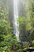 Waterfall at Levada do Norte. Madeira Island. Portugal