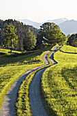 Field path. Allgäu. Bavaria. Germany