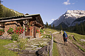 Lafatscher Niederleger, mountain Speckkarspitze, Tyrol, Austria