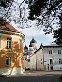Alexander Nevsky Cathedral. Tallinn. Estonia