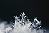 Snow crystal