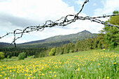 Meadow with barbed wire, in the background mount Osser. Lohberg. Upper Palatinate. Bavaria. Germany