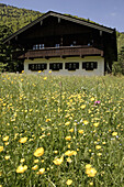 Bavarian house with flowering meadow. Sachrang, Aschau, Chiemgau, Upper Bavaria, Germany, Europe, May 2005.