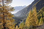 Dösenta, Mallnitz, Hohe Tauern National Park, Alps, Carinthia, Austria