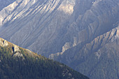 Tauerntal near Jamnig-Alm, Mallnitz, Hohe Tauern National Park, Alps, Carinthia, Austria