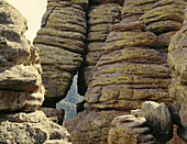 Layered rock formations with gap showing view of forest. Chiricahua National Monument. Arizona. USA