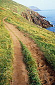 Coastal path. Wales. UK