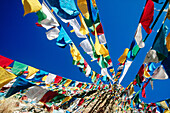 Prayer flags at Buddhist site. Lhasa. Tibet