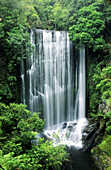 Korokoro Falls, near Lake Walkaremoana Te. Urewera National Park. North Island. New Zealand