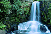 Waiai Falls. Coromandel Peninsula. North Island. New Zealand