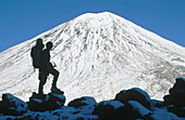 A tramper silhouetted against the symmetrical cone of Mr. Ngauruhoe, Tongariro National Park. New Zealand