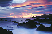 Dawn at Island Bay. Near Wellington. New Zealand.