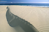 Sand dune patterns. Te Paki. Northland. New Zealand.