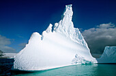 Iceberg. Antarctica