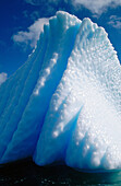 Sculpted iceberg. Antarctica