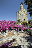 Torre del Oro. Sevilla. Spain