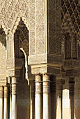 Detail of columns at the Courtyard of the Lions, Alhambra. Granada. Spain