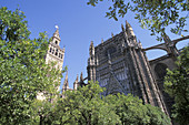 Cathedral and Giralda tower. Seville. Andalusia. Spain