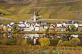 View over river Moselle to merl with vineyard, Zell, Rhineland-Palatinate, Germany
