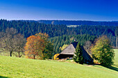 Farm near Furtwangen, Black Forest, Baden-Wurttemberg, Germany