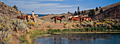 Cowboys on horseback in the Wild West, Oregon, USA