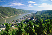 Blick auf Oberwesel mit Weinberg am Rhein, Mittelrhein, Rheinland-Pfalz, Deutschland
