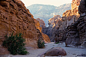 Coloured canyon, rocky desert, Sinai, Egypt, North Africa