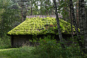 Mossy hut at Rocca al Mare open air museum, Tallinn, Estonia