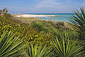 Blick über Palmen auf Strand im Sonnenlicht, Boardwalk District, Miami Beach, Florida, USA