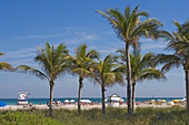 Palm trees in front of the beach at Boardwalk District, Miami Beach, Florida, USA