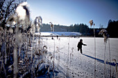 Junge fährt Schlittschuh auf dem Buchsee, Münsing, Bayern, Deutschland