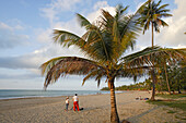Menschen und Palmen am Strand unter Wolkenhimmel, Luquillo, Puerto Rico, Karibik, Amerika