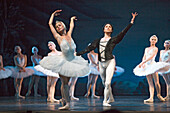 Swan Lake in the Conservatory theatre, Saint Petersburg, Russia