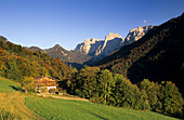 Blumenwiese mit Almhütte, Wilder Kaiser im Hintergrund, Kaisertal, Kaisergebirge, Tirol, Österreich