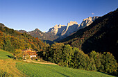 Flowering meadow with alpine hut, Wilder Kaiser range in background, valley Kaisertal, Kaiser mountain range, Tyrol, Austria