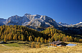 Herbstliche Lärchen mit Gotzenalm, Steinernes Meer im Hintergrund, Berchtesgadener Alpen, Berchtesgaden, Bayern, Deutschland