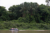 MS Europa Zodiac Expedition and Tropical Rainforest on the Amazon River Sidearm, Rio do Cajari, Para, Brazil, South America