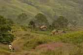 People on a track to the village, Highlands, Papua New Guinea, Oceania