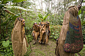 People walking over coffee plantation, Langila, Highlands, Papua New Guinea, Oceania