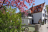Herbergshaus in der Frühlingssonne, Mondstrasse, Untergiesing, München, Bayern, Deutschland